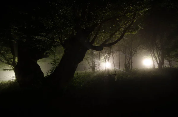 Köyde gece sis. Gizemli. Ay ışığı. Bahçedeki ağaç yakınındaki Swing aydınlatıyor. Ağaçlar arka ışıktan. Gizemli gece ountryside. Hafif sis. — Stok fotoğraf