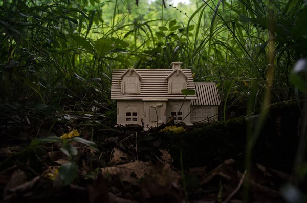 Modèle en bois de maison dans le jardin. Maison sur arbre. Petite maison en bois en herbe verte . — Photo