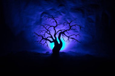 Arka plan arka yüzü aya ile karanlık sisli korkunç Cadılar Bayramı ağacının siluet tonda.