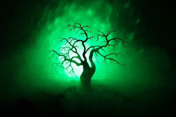Silhueta de árvore de Halloween assustador no fundo escuro enevoado tonificado com a lua no lado de trás . — Fotografia de Stock