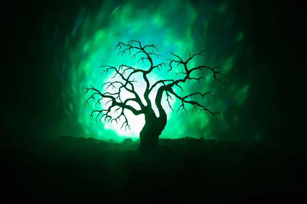 Silueta strašidelný Halloween Tree v mlhavé tmě laděných pozadí se měsíc na zadní straně. — Stock fotografie