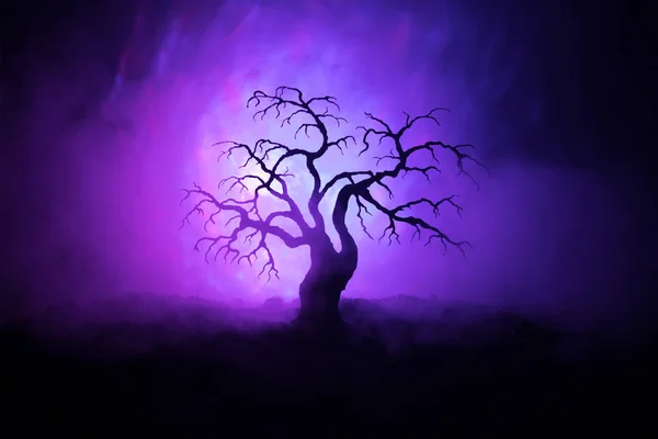 Silueta de espeluznante árbol de Halloween sobre oscuro fondo nebuloso tonificado con luna en la parte posterior . — Foto de Stock