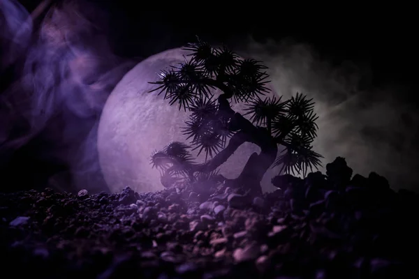 Silhouet boom op volle maan achtergrond. Full moon rising boven Japanse stijl boom tegen afgezwakt mistige hemel. — Stockfoto