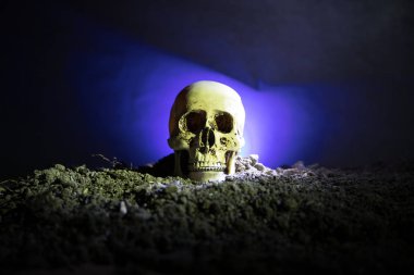 insan kafatası üzerinde koyu tonda sisli arka plan açık ağız frontview. Korku kavramı.