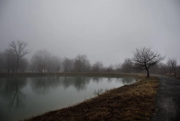 Paisaje con niebla matutina brumosa en el lago del bosque o hermoso lago del bosque por la mañana en invierno. Azerbaiyán naturaleza . —  Fotos de Stock