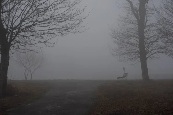 Empty bench at park near pond by foggy day, minimalistic cold season scene. bench at the lake in the fog in the forest. Bench near lake with fog. Azerbaijan Nature. — Stock Photo, Image