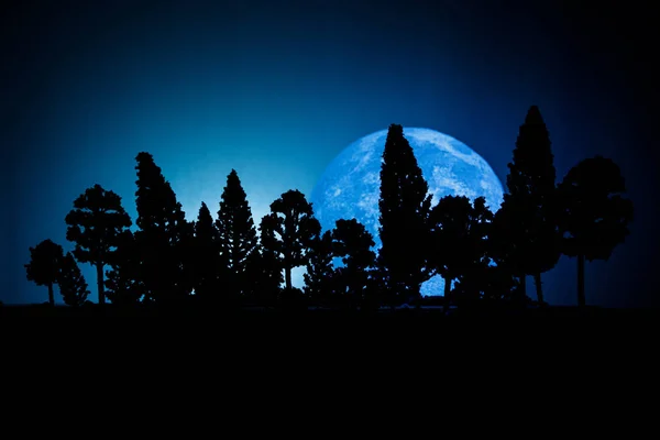 Vieille maison avec un fantôme dans la forêt la nuit ou maison d'horreur hantée abandonnée dans le brouillard. Ancien bâtiment mystique dans la forêt d'arbres morts. Arbres la nuit avec la lune. Lumières surréalistes — Photo