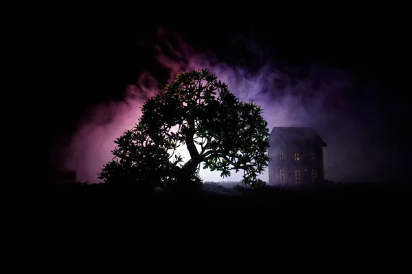 Antigua casa con un Fantasma en el bosque por la noche o Casa de terror embrujada abandonada en la niebla. Antiguo edificio místico en el bosque de árboles muertos. Árboles en la noche con luna. Luces surrealistas — Foto de Stock