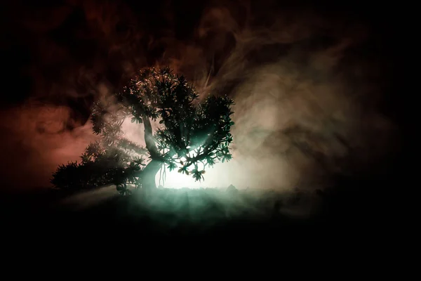 Vecchia casa con un fantasma nella foresta di notte o Abandoned Haunted Horror House nella nebbia. Vecchio edificio mistico nella foresta di alberi morti. Alberi di notte con la luna. Luci surreali — Foto Stock