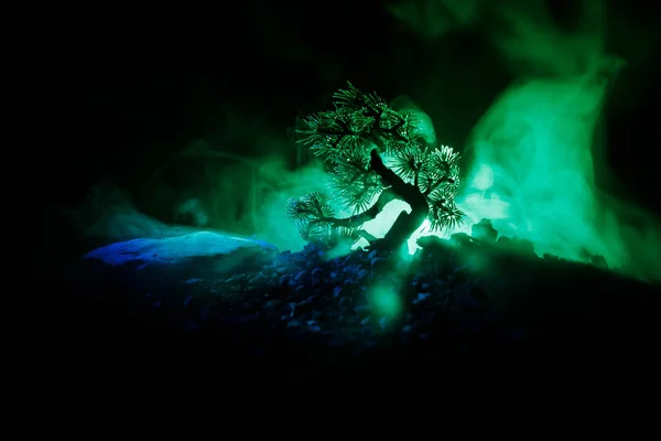 Силуэт Дерево на фоне полнолуния. Полная луна поднимается над японским деревом в стиле туманного неба . — стоковое фото