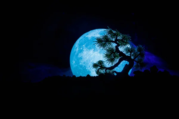 Σιλουέτα δέντρο σε πλήρες φεγγάρι φόντο. Πανσέληνος που ανατέλλει πάνω από το ιαπωνικό στυλ δέντρου κατά τονισμένο ομιχλώδη ουρανό. — Φωτογραφία Αρχείου