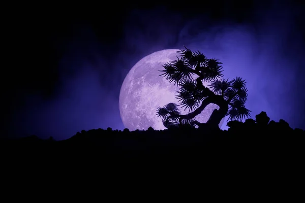 Silhouettenbaum auf Vollmond-Hintergrund. Vollmond steigt über japanischem Baum gegen getönten nebligen Himmel. — Stockfoto