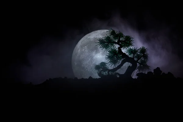 Silueta copac pe fundal lună plină. Luna plină se ridică deasupra arborelui japonez împotriva cerului cețos tonifiat . — Fotografie, imagine de stoc