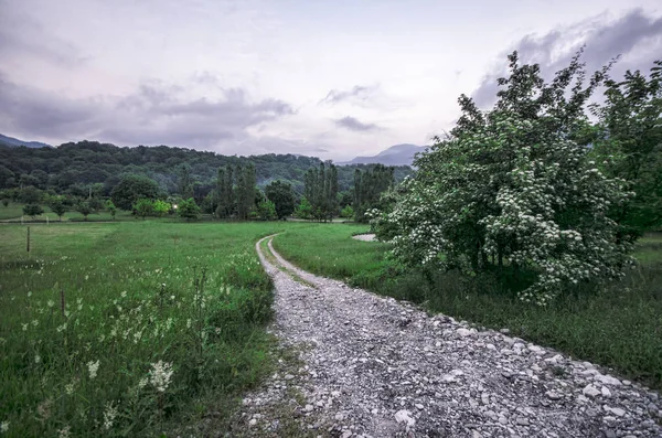 Величний пейзаж гори та Луки. Велоспорт гірській дорозі. Туманний гірській дорозі у високогір'ї... Хмарного неба з гірській дорозі. — стокове фото