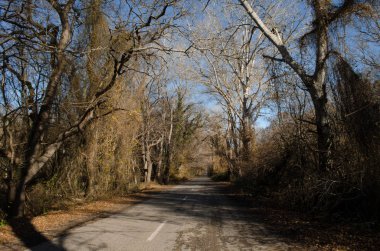 Dağın içine gidiyor yol asfalt manzara ağaçlar, köy ve orman yerler geçer. ya da kırsal yerlerde günbatımı Azerbaycan'ın. Kış saati