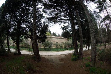 Terk edilmiş köy ev Bakü Botanik bahçesinde inşa. Kimse ağaçları ile parkta. Bahar