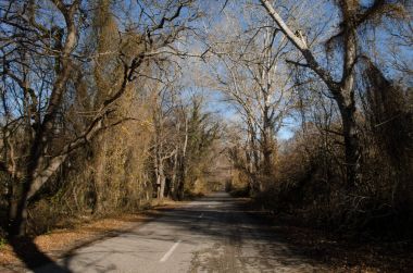 Dağın içine gidiyor yol asfalt manzara ağaçlar, köy ve orman yerler geçer. ya da kırsal yerlerde günbatımı Azerbaycan'ın. Kış saati