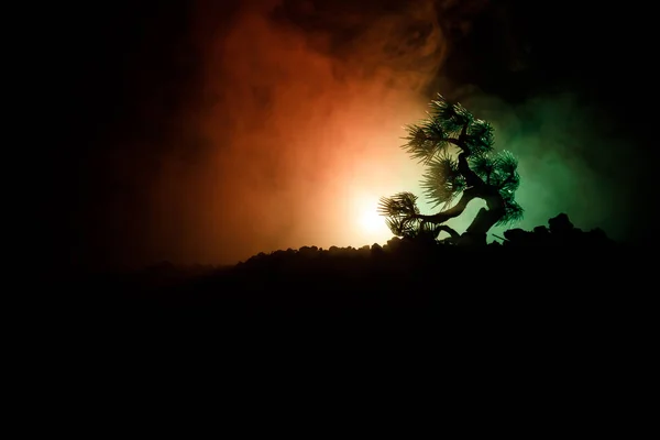 Árvore de silhueta em fundo de lua cheia. Lua cheia subindo acima da árvore de estilo japonês contra o céu nebuloso tonificado . — Fotografia de Stock