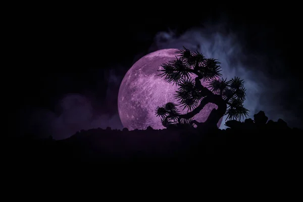Siluett träd på fullmånen bakgrund. Fullmånen stiger ovanför japansk stil träd mot tonad dimmigt himmel. — Stockfoto