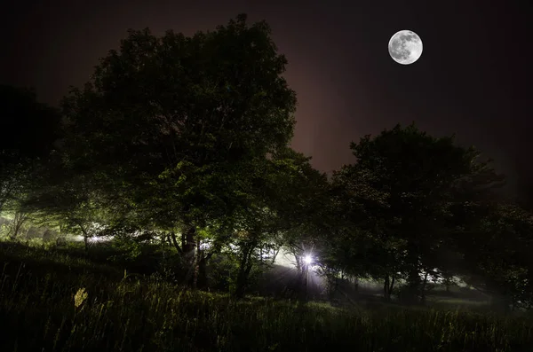 Hermoso paisaje nocturno de luna llena grande que sube sobre el camino de la montaña con la colina y los árboles, concepto místico — Foto de Stock