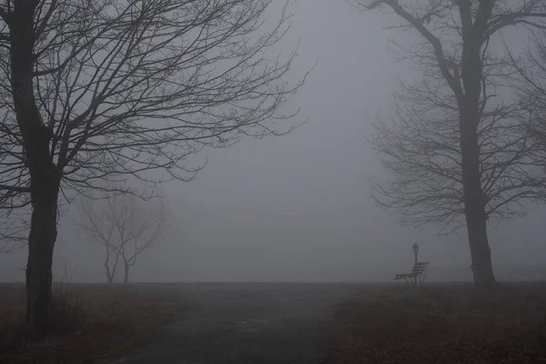 霧の日、ミニマルな寒い季節のシーンで池の近くの公園で空のベンチ。森の霧の湖でのベンチ。霧の湖の近くのベンチ。アゼルバイジャンの自然. — ストック写真