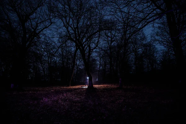 Podivné světlo v temném lese v noci. Silueta osoby stojící v temném lese se světlem. Temné noci v lese v mlze času. Surrealistické noční lesní scéna. Horor halloween koncept. — Stock fotografie