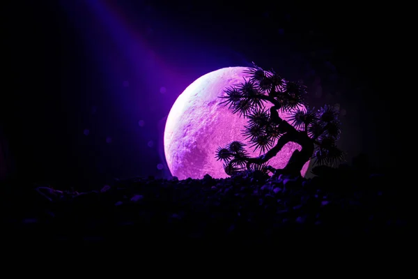 Albero di silhouette su sfondo luna piena. Luna piena che sorge sopra l'albero di stile giapponese contro il cielo nebbioso tonico . — Foto Stock