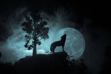 Siluet karanlık karşı uluyan kurt sisli arka plan ve dolunay ya da kurt tam aya inleyen siluet tonda. Halloween korku kavramı.