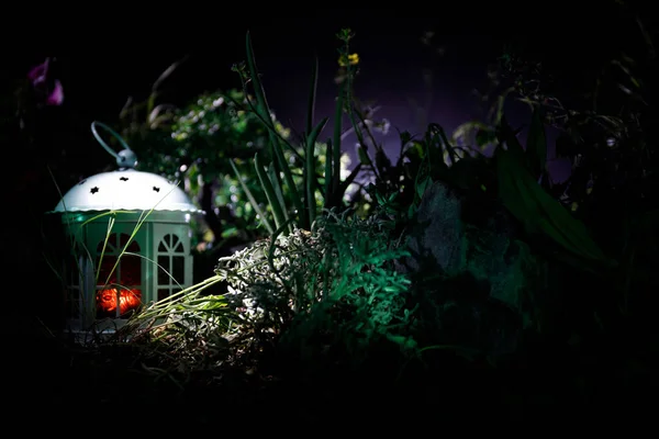 Foto fantasia decorata. Piccola bella casa in erba con luce. Vecchia casa nella foresta di notte con la luna. Focus selettivo — Foto Stock