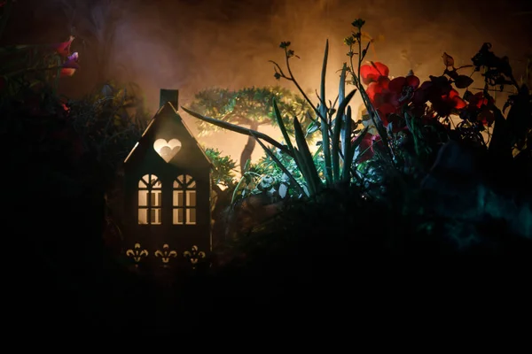Фантазія прикрашена фотографією. Невеликий красивий будинок у траві зі світлом. Старий будинок в лісі вночі з місяцем. Вибірковий фокус — стокове фото