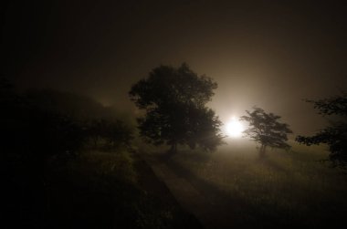 Büyük dağ yolu hill ve ağaçlar, mistik konsepti ile yükselip dolunay güzel gece manzarası
