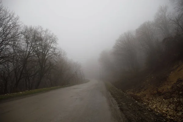 Paisaje con hermosa niebla en el bosque en la colina o sendero a través de un misterioso bosque de invierno con hojas de otoño en el suelo. Camino a través de un bosque de invierno. Ambiente mágico. Azerbaiyán — Foto de Stock