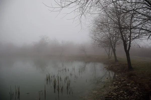 Дивовижний краєвид мосту відображається на поверхневих водах озера, туман випаровується зі ставка робить романтичну сцену або красивий міст на озері з деревами в тумані . — стокове фото