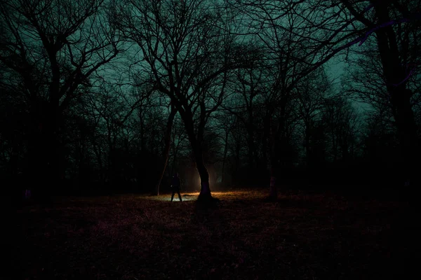 Luz estranha em uma floresta escura à noite. Silhueta de pessoa de pé na floresta escura com luz. Noite escura na floresta na hora do nevoeiro. Cena de floresta noturna surreal. Terror halloween conceito . — Fotografia de Stock