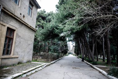 Terk edilmiş köy ev Bakü Botanik bahçesinde inşa. Kimse ağaçları ile parkta. Bahar