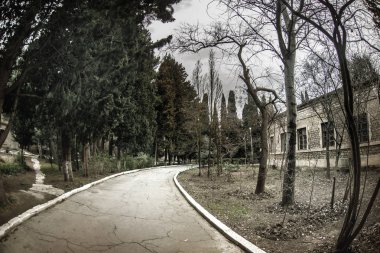 Terk edilmiş köy ev Bakü Botanik bahçesinde inşa. Kimse ağaçları ile parkta. Bahar