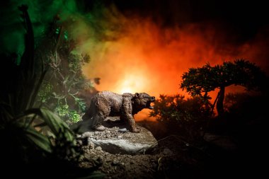 Kızgın ayı yangın bulutlu gökyüzü arkasında. Bir ayı sisli orman koyu arka planda silüeti
