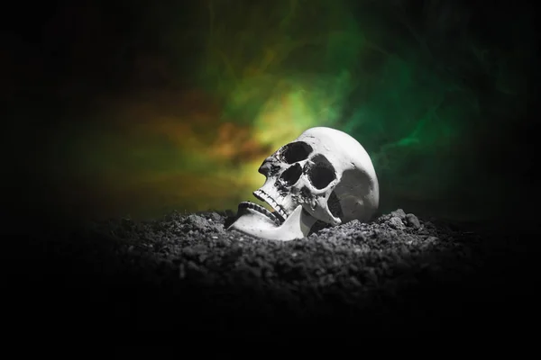 Фронтальный вид человеческого черепа открытого рта на темном, тонированном туманном фоне. Концепция ужасов . — стоковое фото