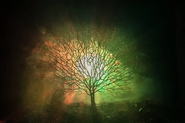 Silhouette of scary Halloween tree with horror face on dark foggy toned background with moon on back side. Scary horror tree with zombie and demon faces.