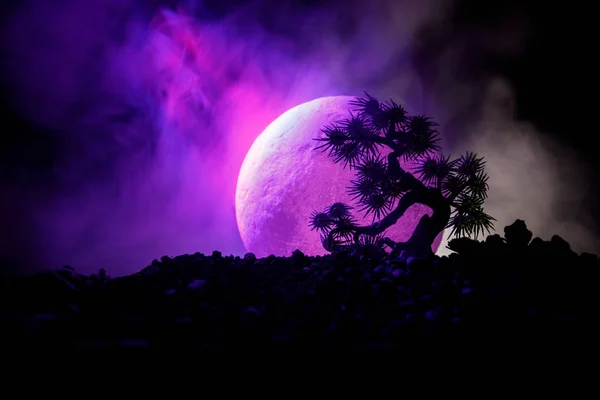 Siluett träd på fullmånen bakgrund. Fullmånen stiger ovanför japansk stil träd mot tonad dimmigt himmel. — Stockfoto