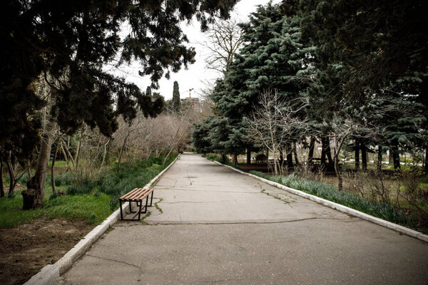 Abandoned village house building in Baku Botanical garden. Nobody in the park with trees. Springtime. Selective focus