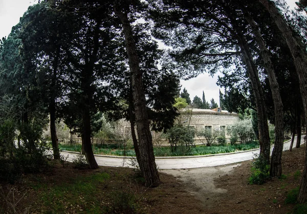 Opuštěný dům v Baku botanické zahradě. Nikdo v parku se stromy. Jarní čas — Stock fotografie