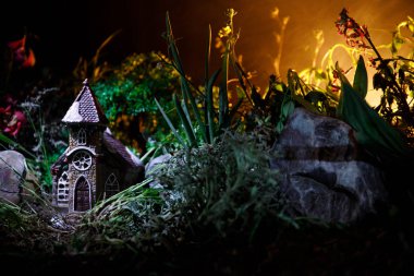 Dekore fantezi fotoğraf. Küçük güzel bir evde çimen ışık ile. Ay ile gece orman eski evde. Seçici odak