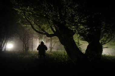 Köyde gece sis. Gizemli. Bahçedeki ağaç yakınındaki Swing aydınlatıyor. Ağaçlar arka ışıktan. Kırsal mistik geceleri. Salıncakta oturan adam silüeti
