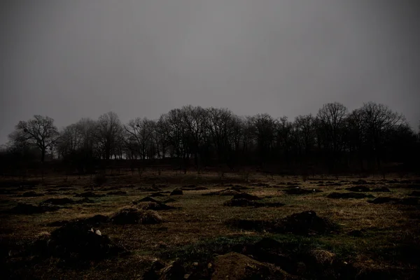 Paysage Avec Beau Brouillard Forêt Sur Colline Sentier Travers Une — Photo