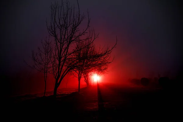 Night Landscape. City at night in dense fog. Mystical landscape surreal lights with creepy man. The walking man\'s silhouette in night fog at artificial light. Beautiful mixed lighting from backside.