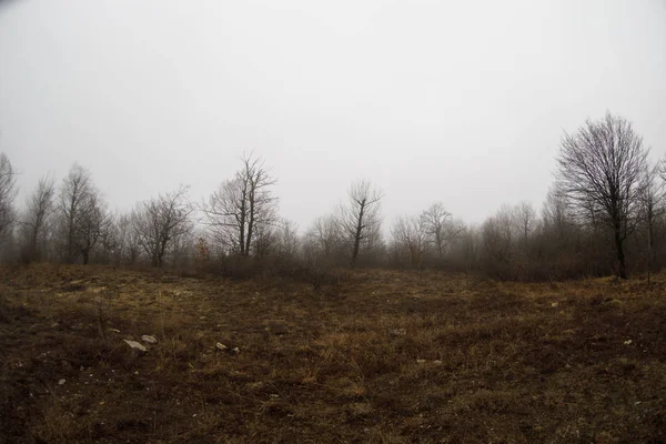 Paisaje Con Hermosa Niebla Bosque Colina Sendero Través Misterioso Bosque —  Fotos de Stock