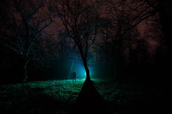 夜暗い森で奇妙な光 光と暗い森に立っている人のシルエット 霧の時に森林の暗い夜 超現実的な夜の森のシーン ホラー ハロウィンのコンセプトです おとぎ話 — ストック写真