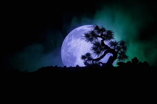 Silhouette Tree sobre fondo de luna llena. Luna llena elevándose por encima del árbol de estilo japonés contra el cielo nebuloso tonificado . — Foto de Stock