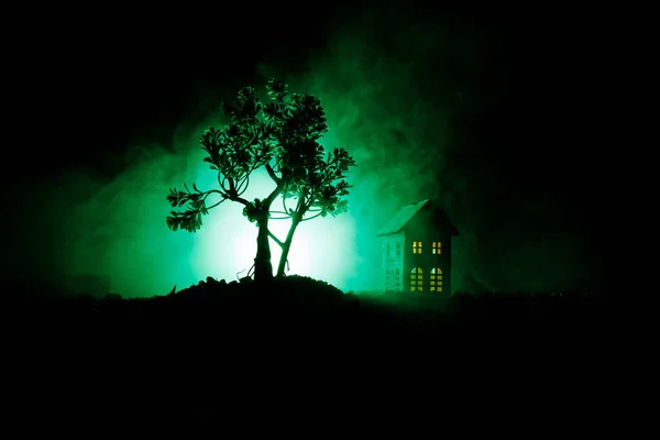 Starý dům s Ghost v lese v noci nebo opuštěné strašidelného domu hrůzy v mlze. Stará budova mystic v lese mrtvý strom. Stromy v noci měsíc. Surrealistické světla — Stock fotografie